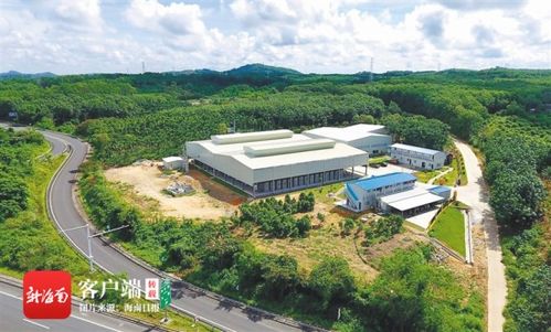 澄邁實施產(chǎn)業(yè)扶貧項目94個 投入扶貧資金3359萬元