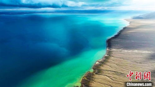 阿爾金山 生態(tài)畫(huà)卷徐徐展開(kāi) 野生動(dòng)物家園煥新顏